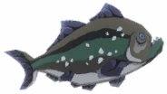 Enormous Carbot