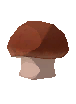 Ornate Mushroom