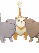 Qitten Cage