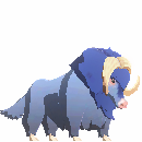 Plains Ox