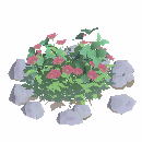 Woodcrafter's Outdoor Garden Plot